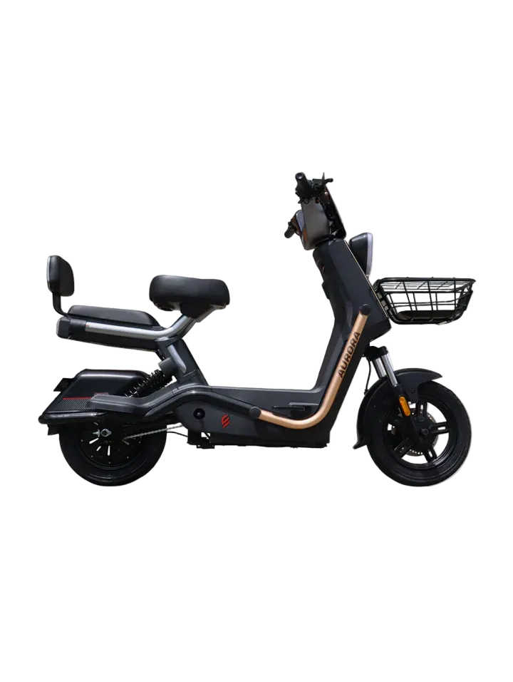 Bicicleta Eléctrica Aurora 850W | Batería 72V 25Ah - Autonomía 65km