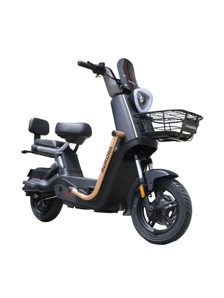 Bicicleta Eléctrica Aurora 850W | Batería 72V 25Ah - Autonomía 65km