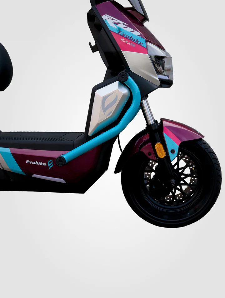 Bicicleta Eléctrica Águila Pro 800W | 72V 20Ah | Carga 200kg